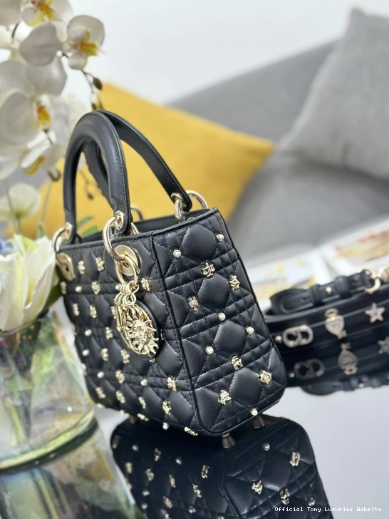 Tony Luxuries DI0R-20CM LADY 0711